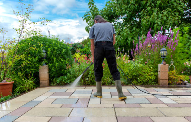  Zeigler, IL Pressure Washing Pros
